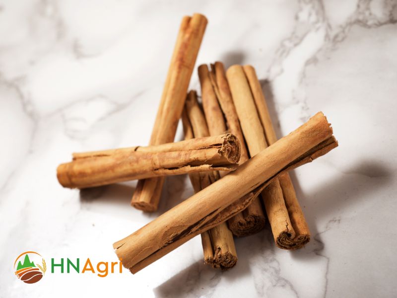 indian-cinnamon-a-fragrant-spice-treasure-from-the-subcontinent-3