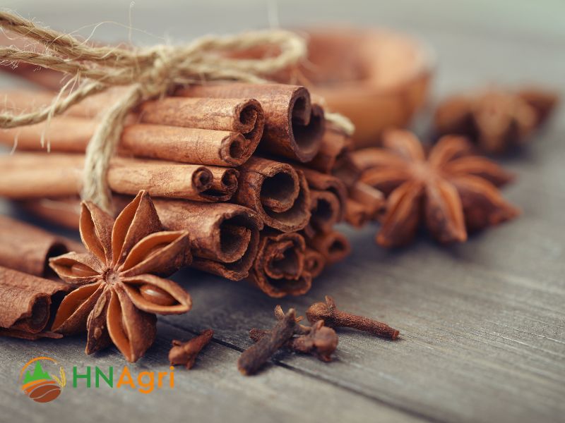 indian-cinnamon-a-fragrant-spice-treasure-from-the-subcontinent-2