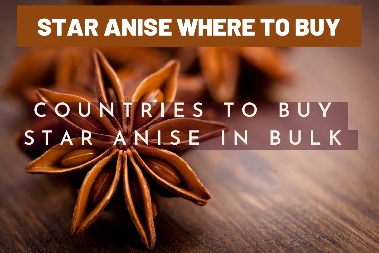 where-to-buy-star-anise-1