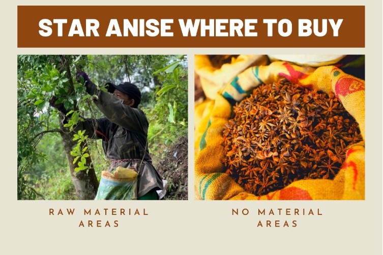 where-to-buy-star-anise-2