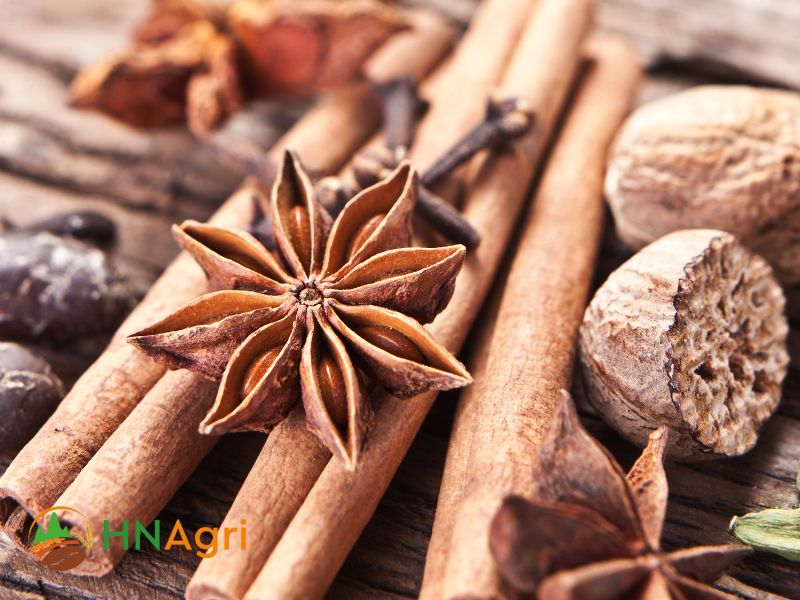 top-3-organic-vietnamese-cinnamon-suppliers-you-should-know-2
