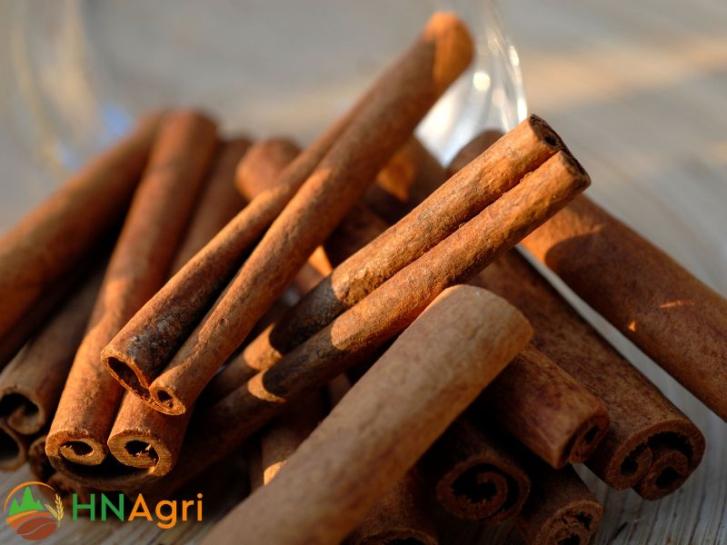 revealing-the-secret-of-the-vietnamese-art-of-cinnamon-production-3