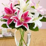 Hoa ly – Loài hoa đẹp cho ngày tết