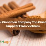 Hanoi Cinnamon Company Top Cinnamon Supplier From Vietnam