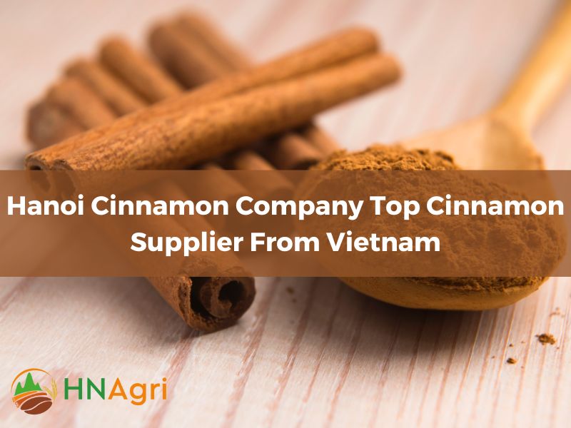 Hanoi Cinnamon Company Top Cinnamon Supplier From Vietnam