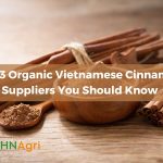 Top 3 Organic Vietnamese Cinnamon Suppliers You Should Know