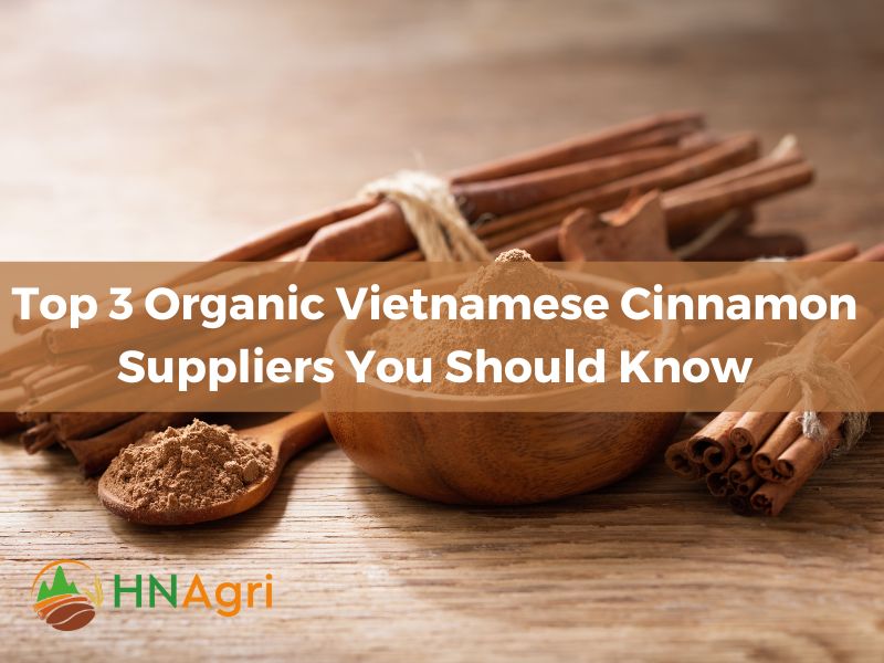 Top 3 Organic Vietnamese Cinnamon Suppliers You Should Know