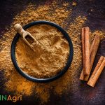 Revealing The Secret Of The Vietnamese Art Of Cinnamon Production